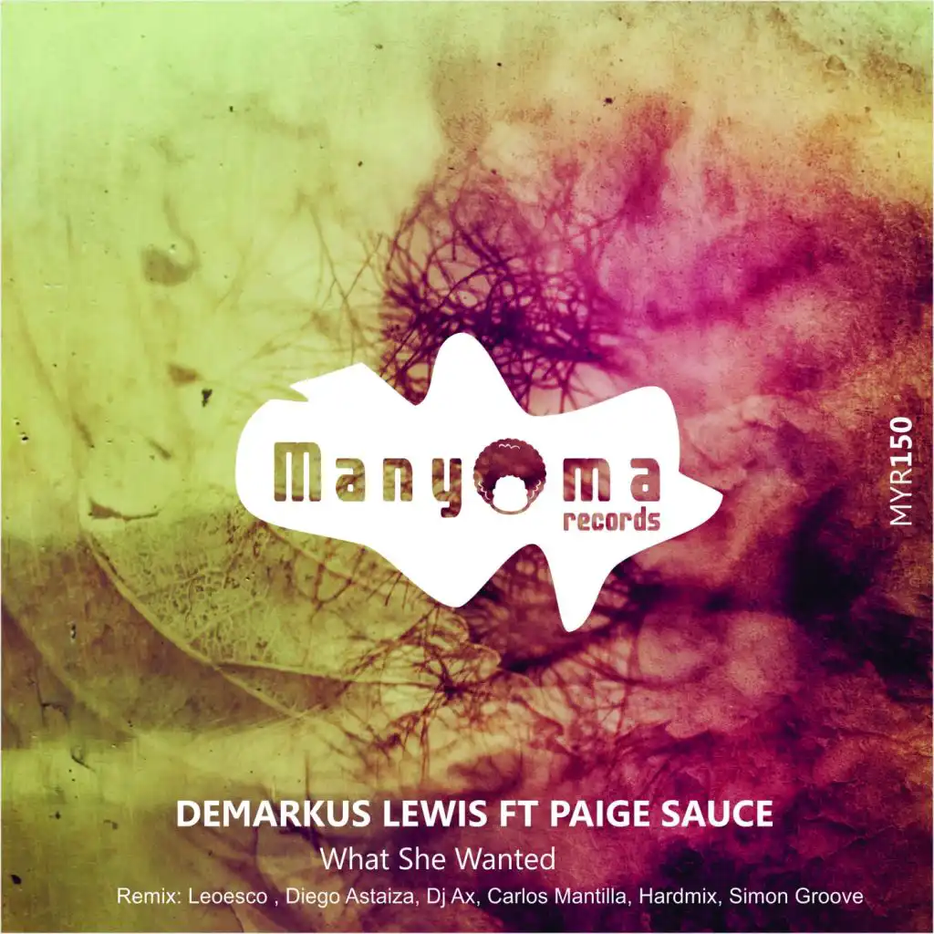 What She Wanted (Leoesco Remix) [feat. Paige Sauce]