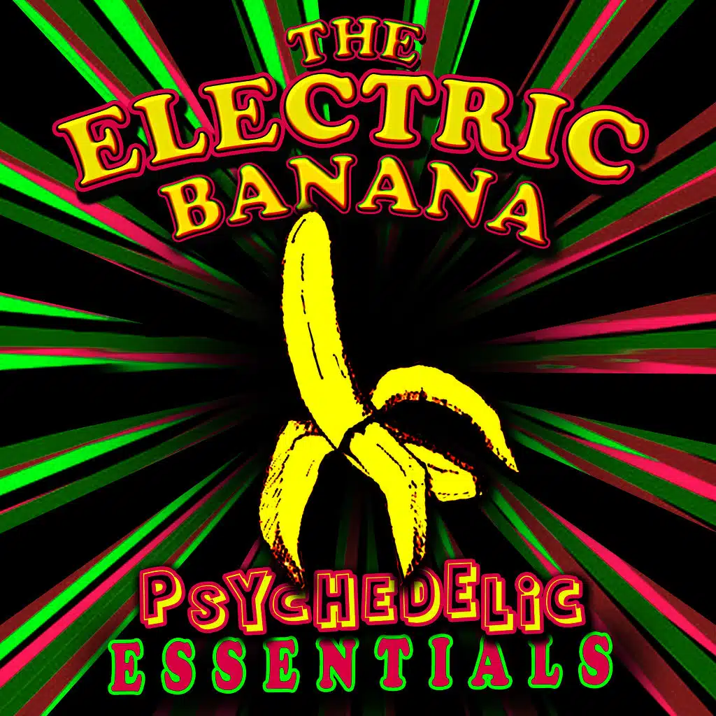 Psychedelic Essentials