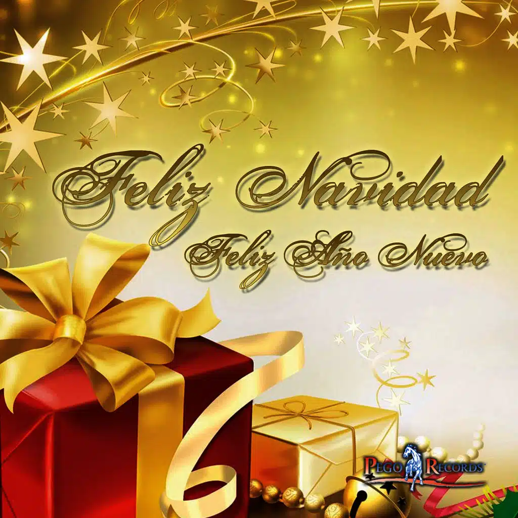 Feliz Navidad / Feliz Año Nuevo