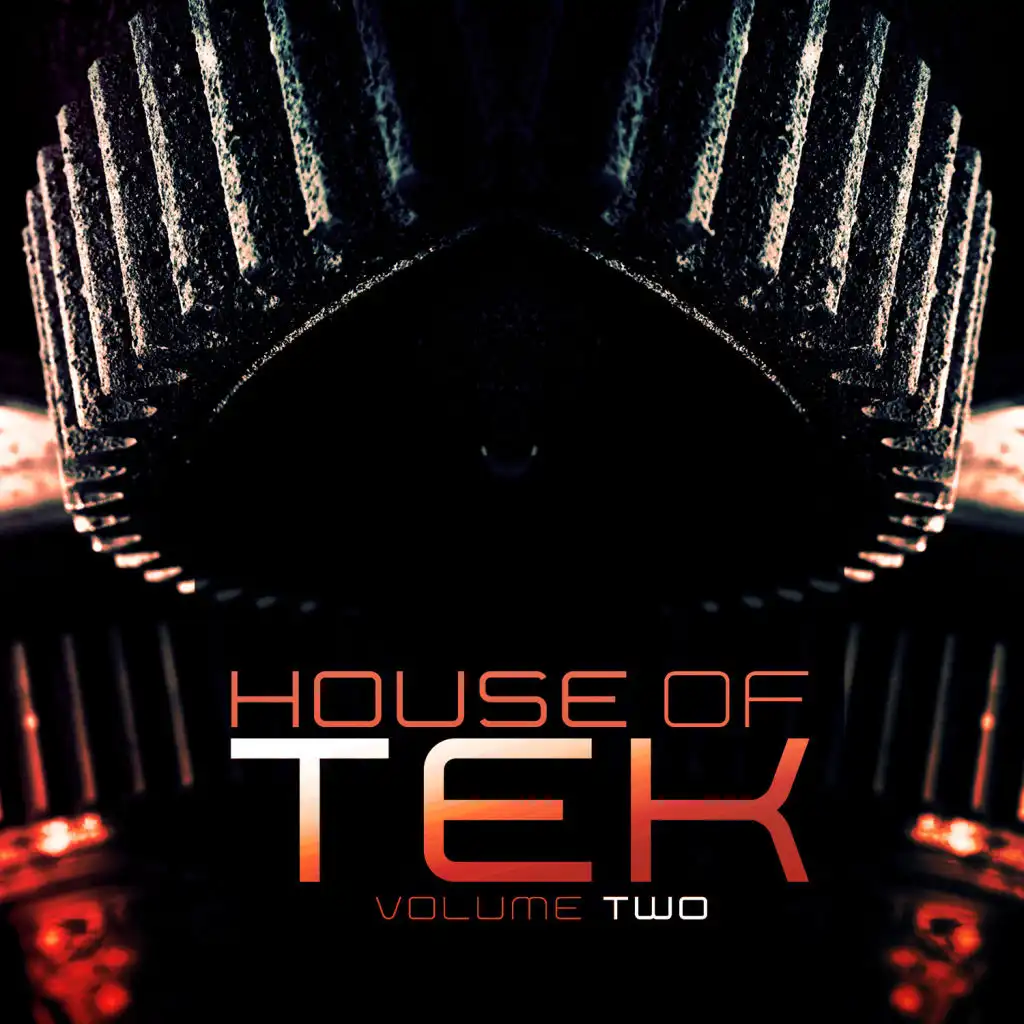 House of Tek, Vol. 2