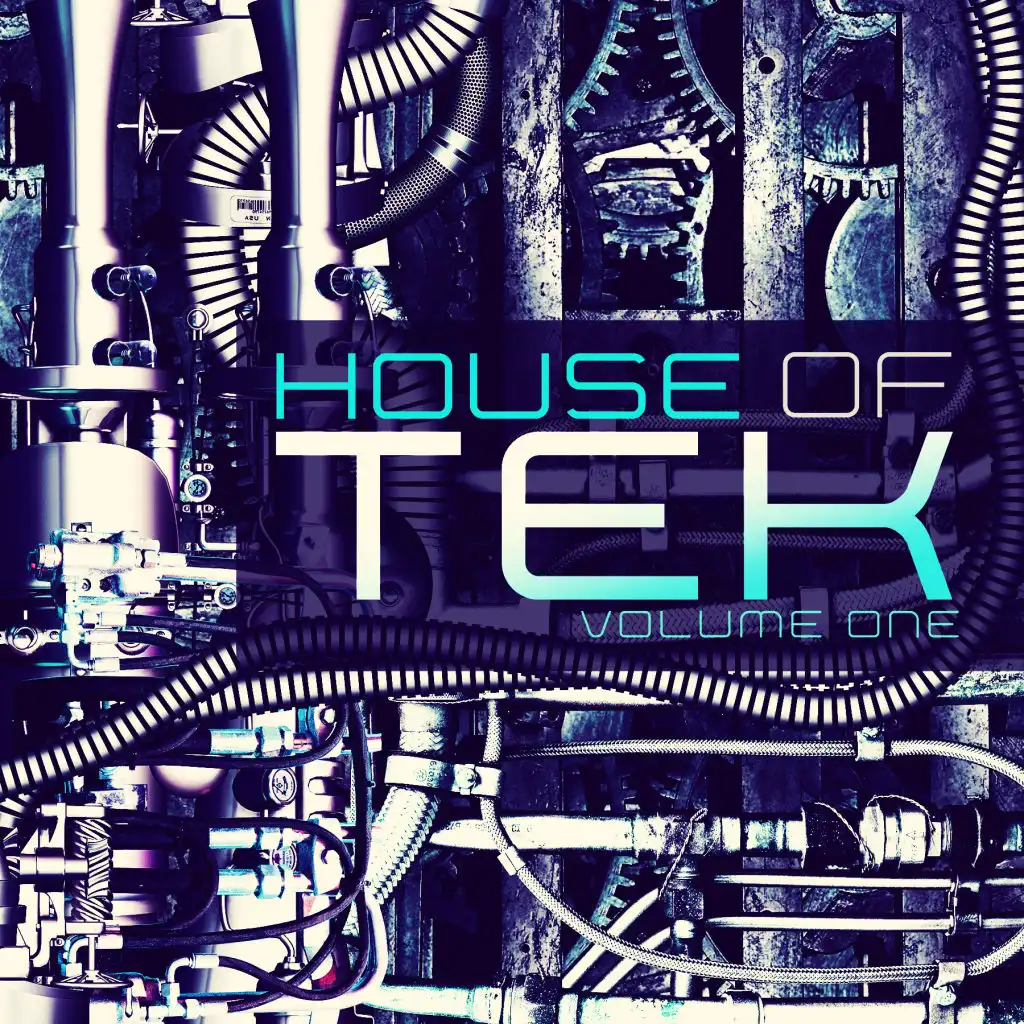 House of Tek, Vol. 1