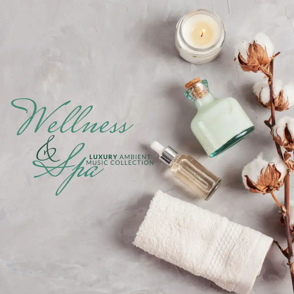 Wellness & Spa Luxury Ambient Music Collection 2020