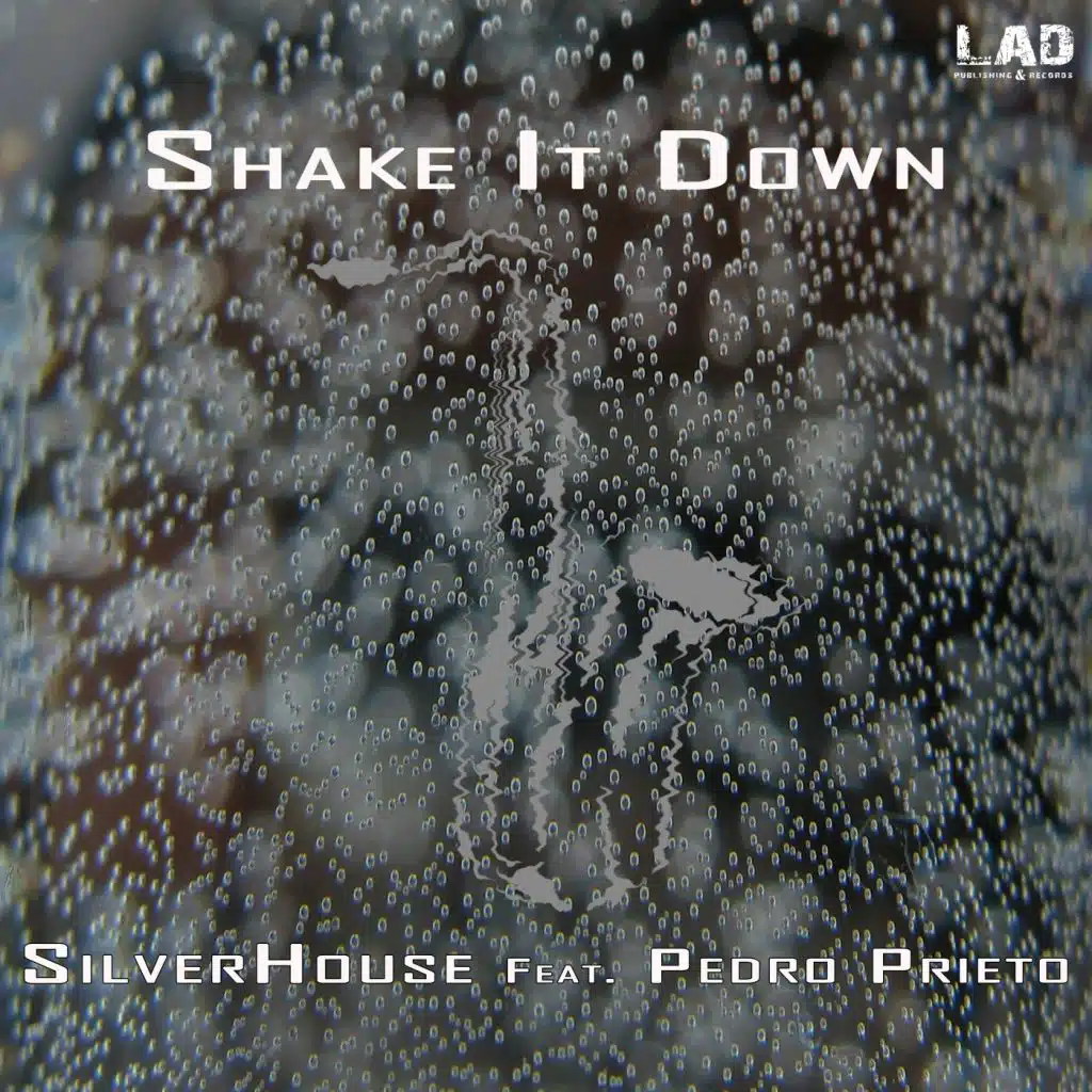 Shake It Down (feat. Pedro Prieto)