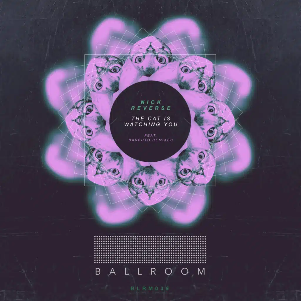 The Cat Is Watching You