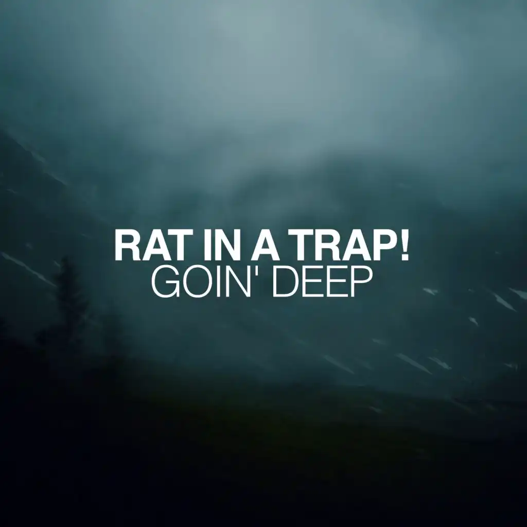 Rat In A Trap!
