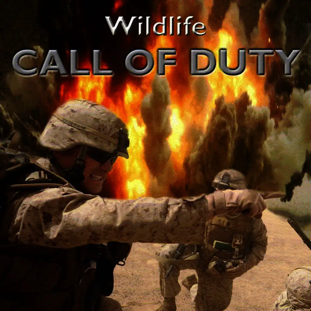 Call of Duty
