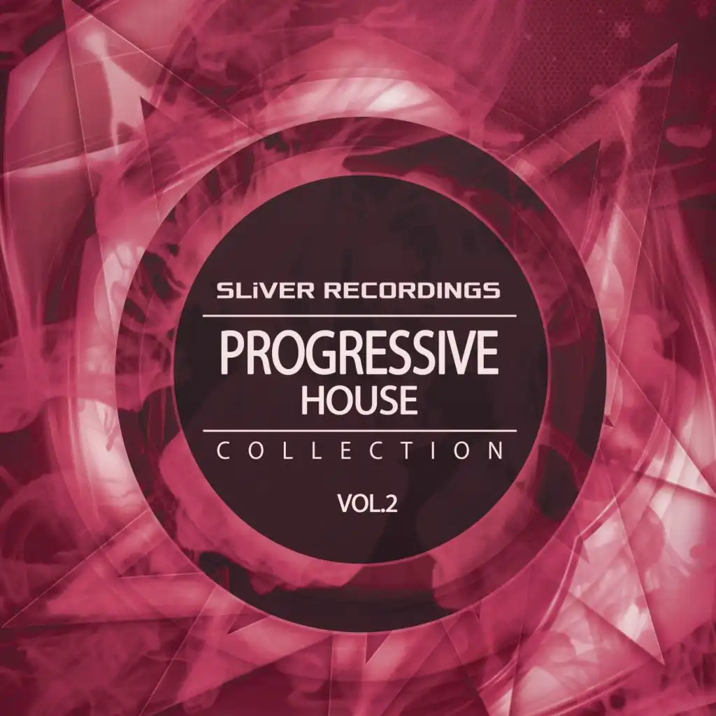 SLiVER Recordings: Progressive House Collection, Vol.2