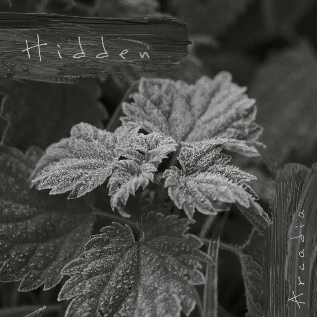 Hidden EP