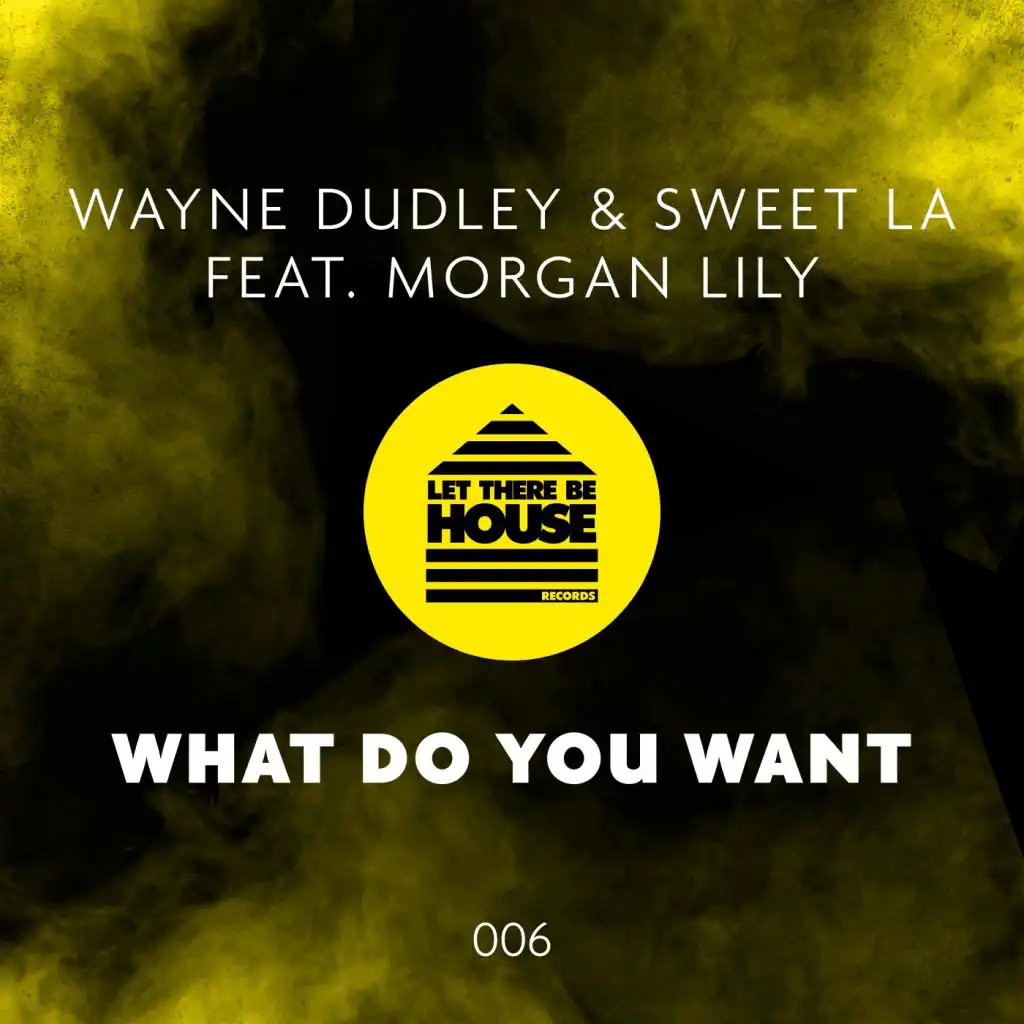 What Do You Want (Extended Mix) [feat. Morgan Lily]