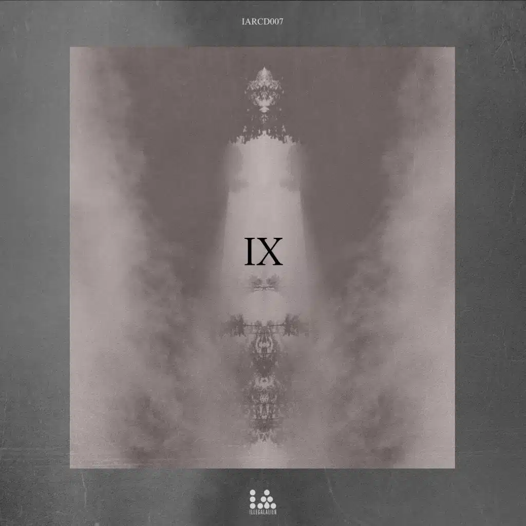 Illegal Alien IX Years