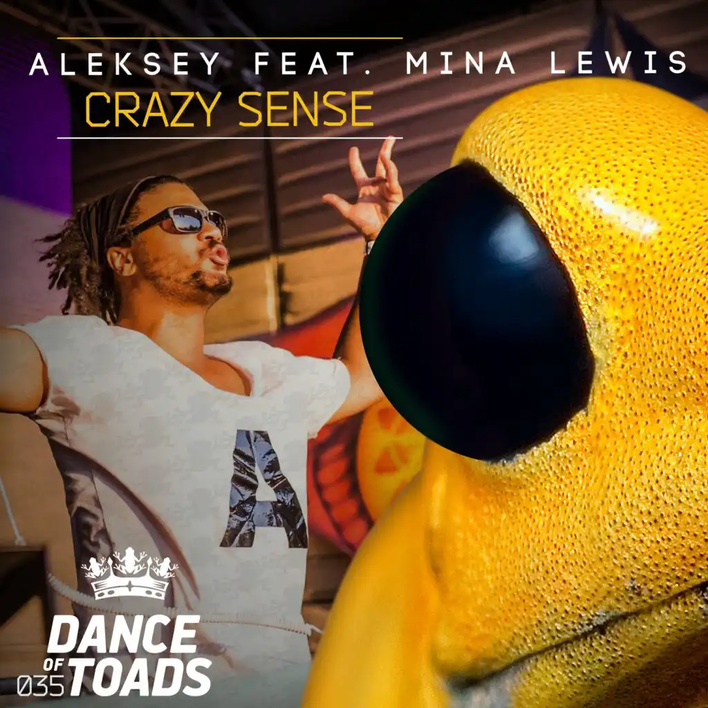 Crazy Sense (Radio Edit) [feat. Mina Lewis]