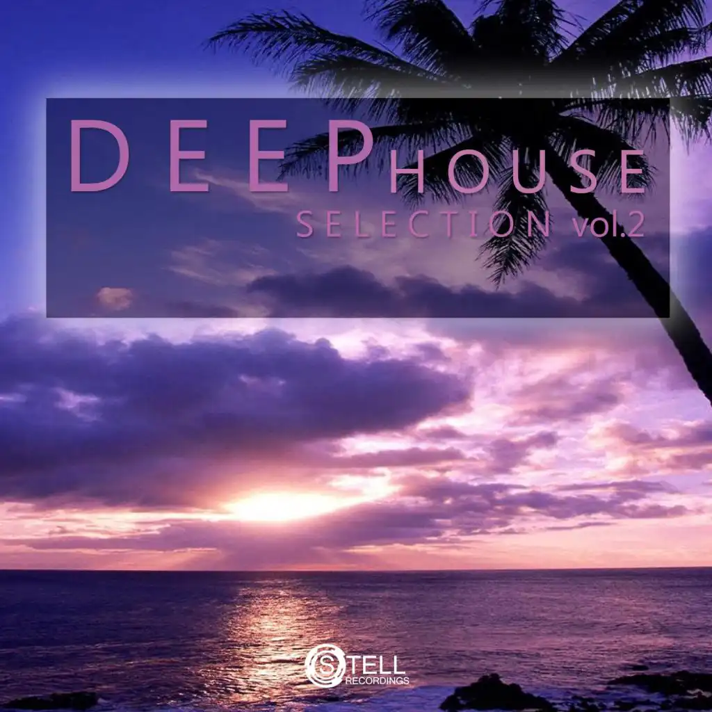 Deep House Selection, Vol. 2