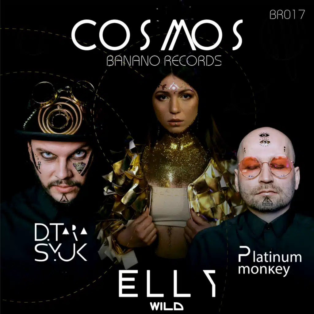 Cosmos (feat. Platinum Monkey & D.Tarasyuk)