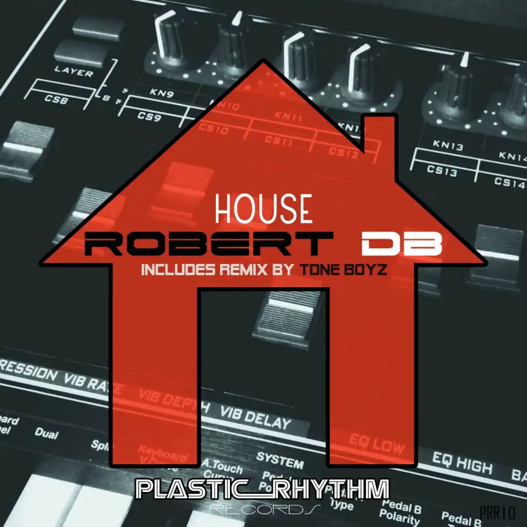 House (Tone Boyz Remix)