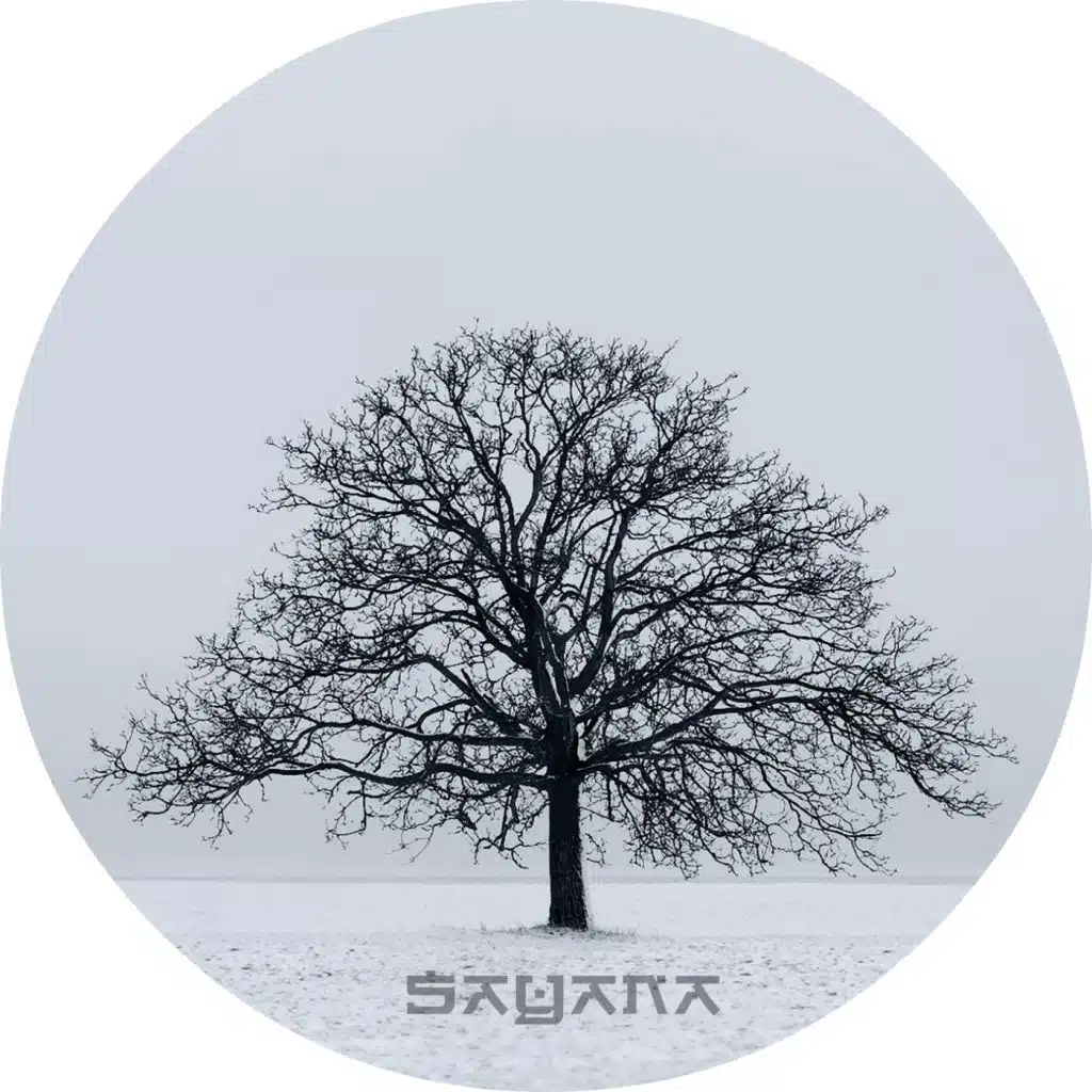 In The Sand (feat. FatV)