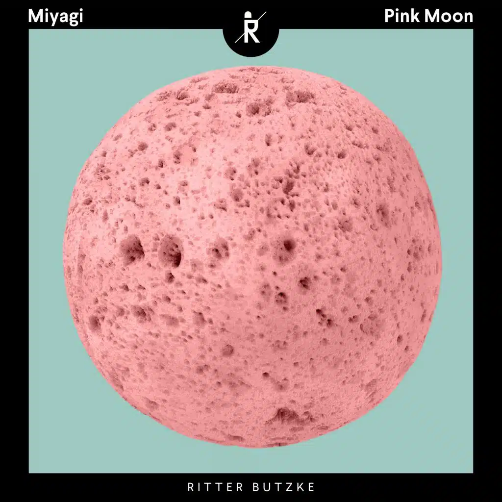 Pink Moon