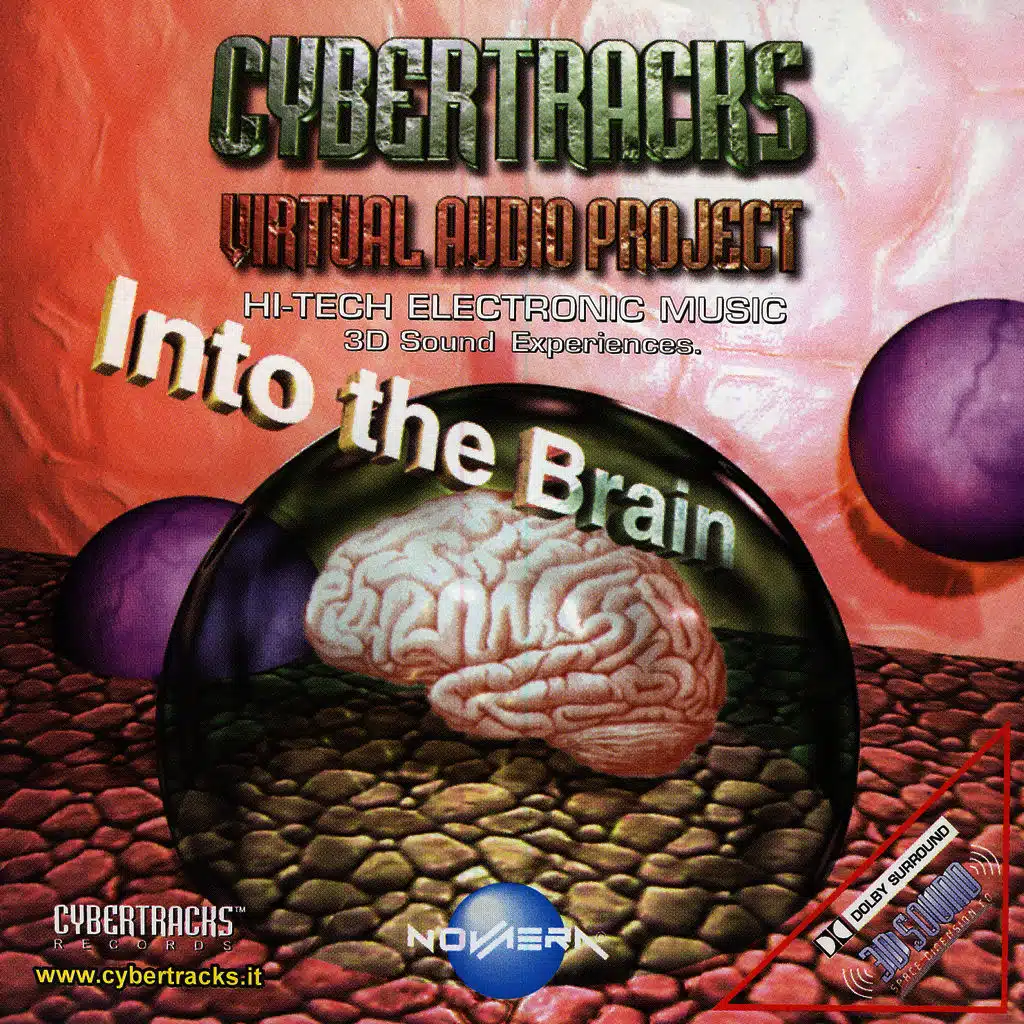 Into The Brain