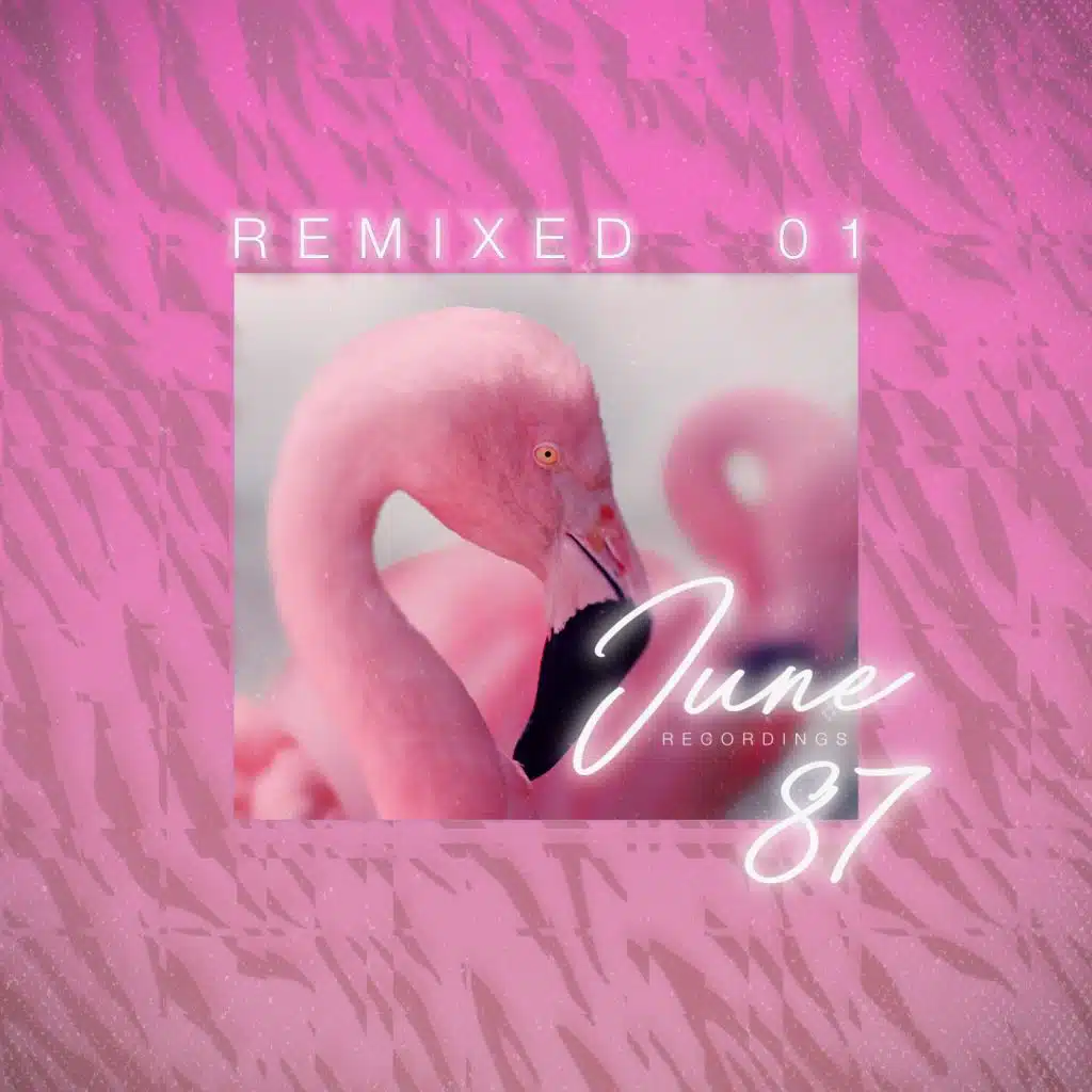 Don't You Wanna (I-Vision Remix)