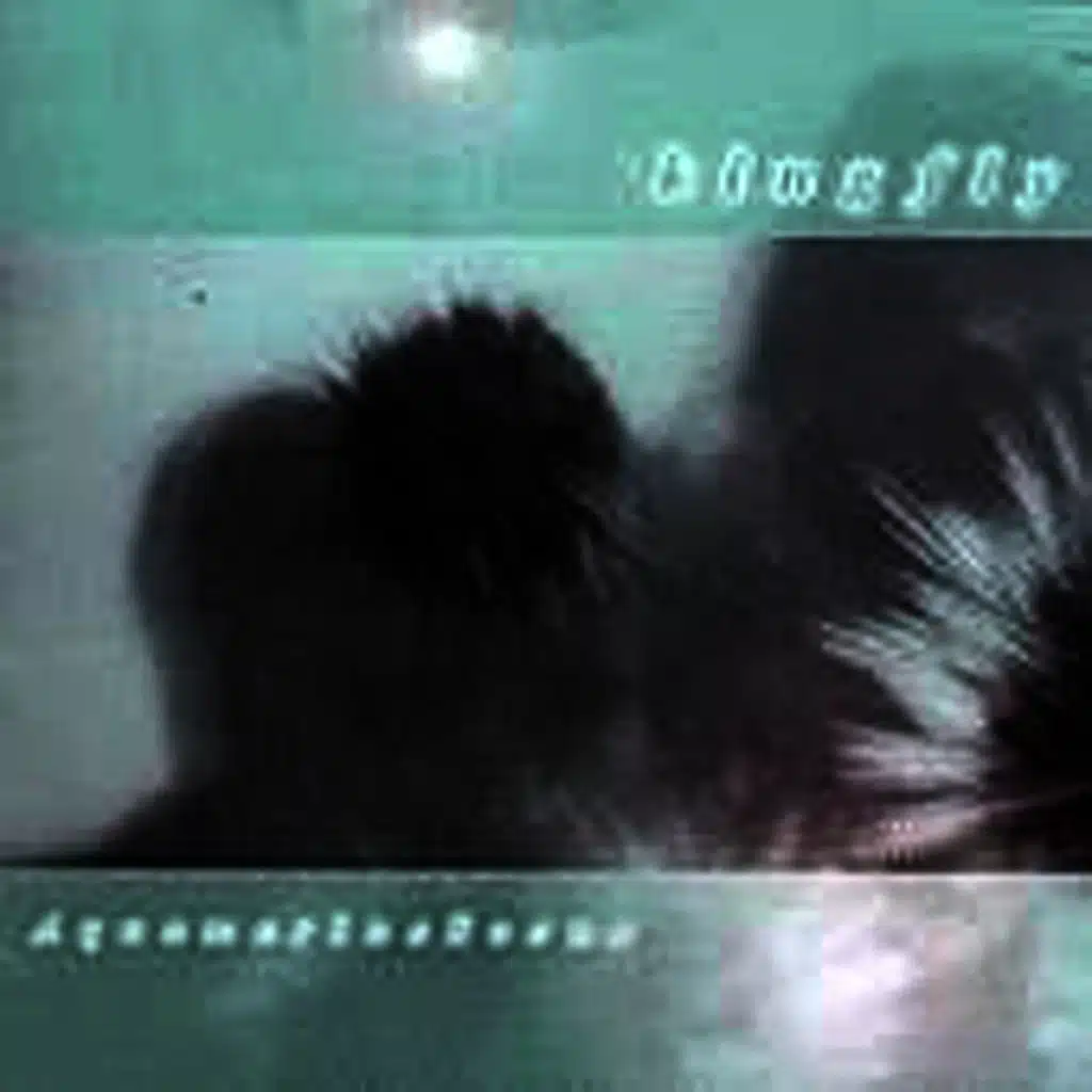 Aquamarine Scene