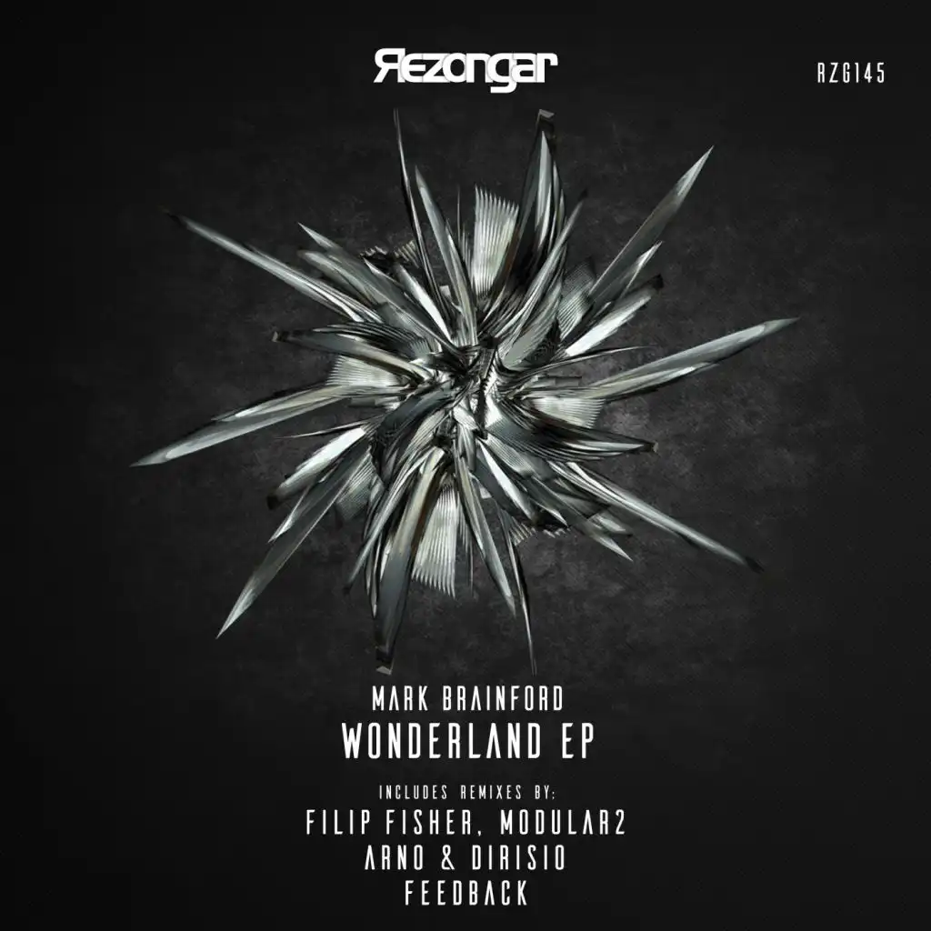 Wondermaker (Feedback Remix)