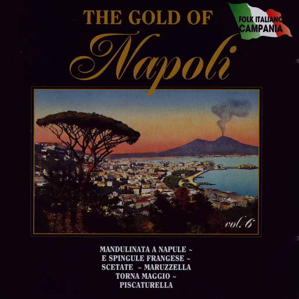 The Gold Of Napoli Vol 6