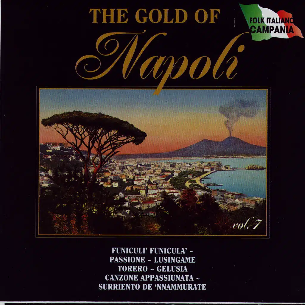 The Gold Of Napoli Vol 7