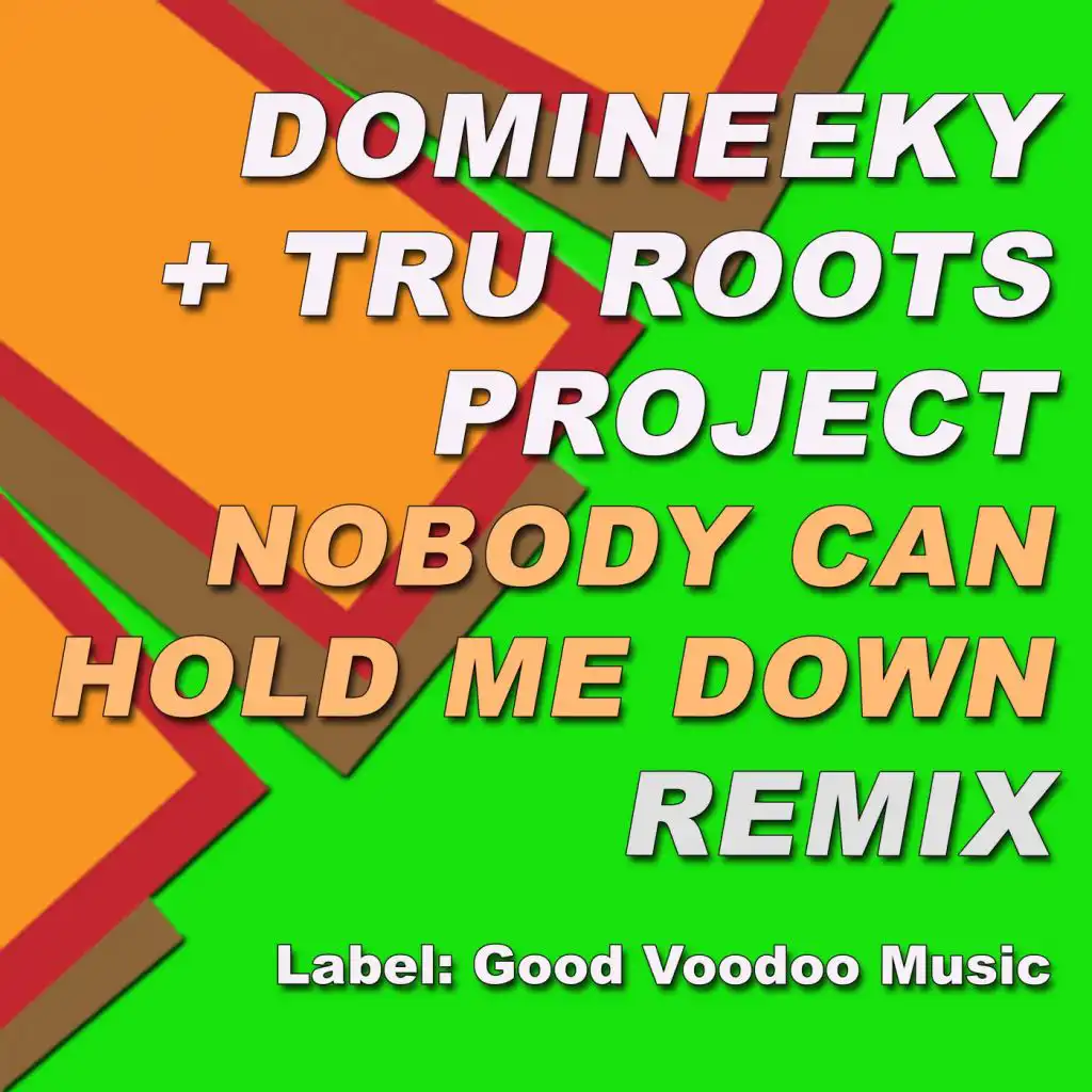 Nobody Can Hold Me Down (Domineeky Remix)