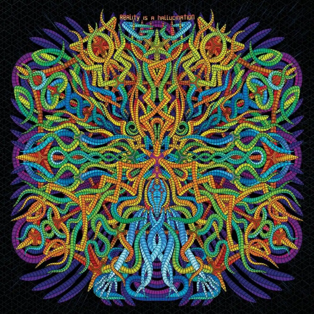 Reality Is A Hallucination