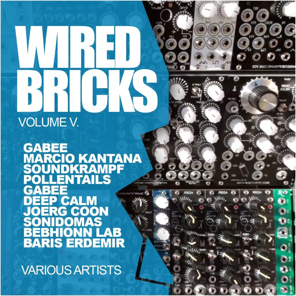 Wired Bricks, Vol. 5