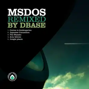 MsDoS and dBase