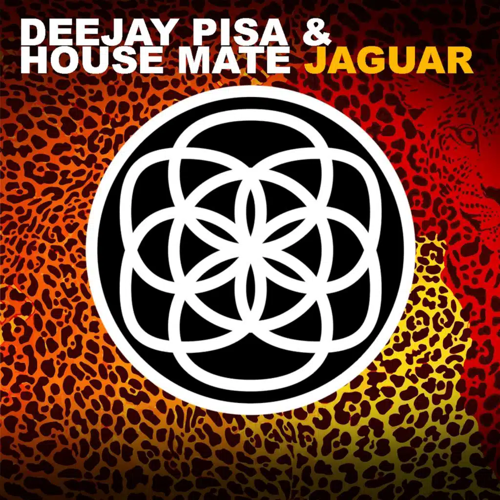 Jaguar (Paddy Duke Remix)