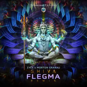 Shiva (Flegma remix)