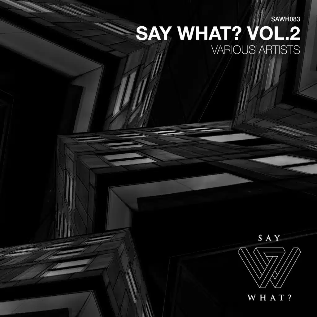 Say What?, Vol. 2