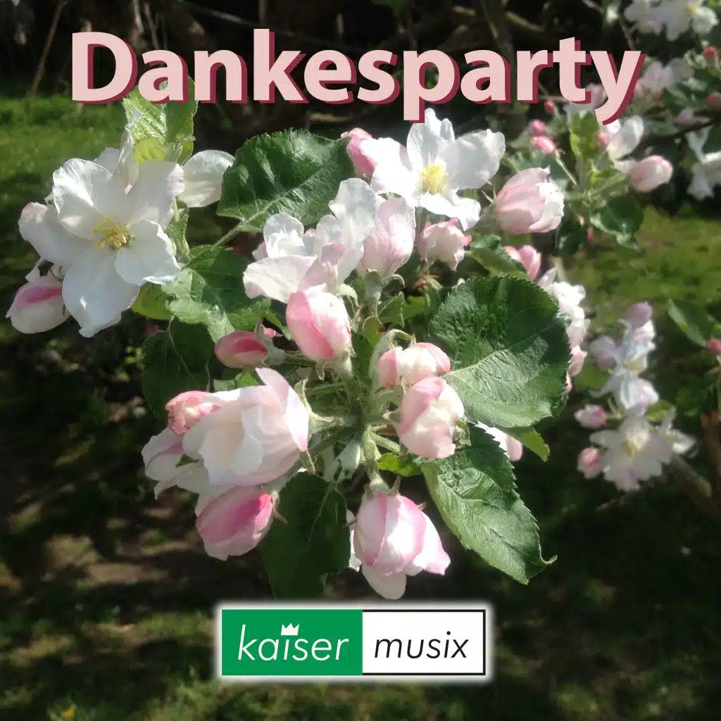 Dankesparty (Remastered)