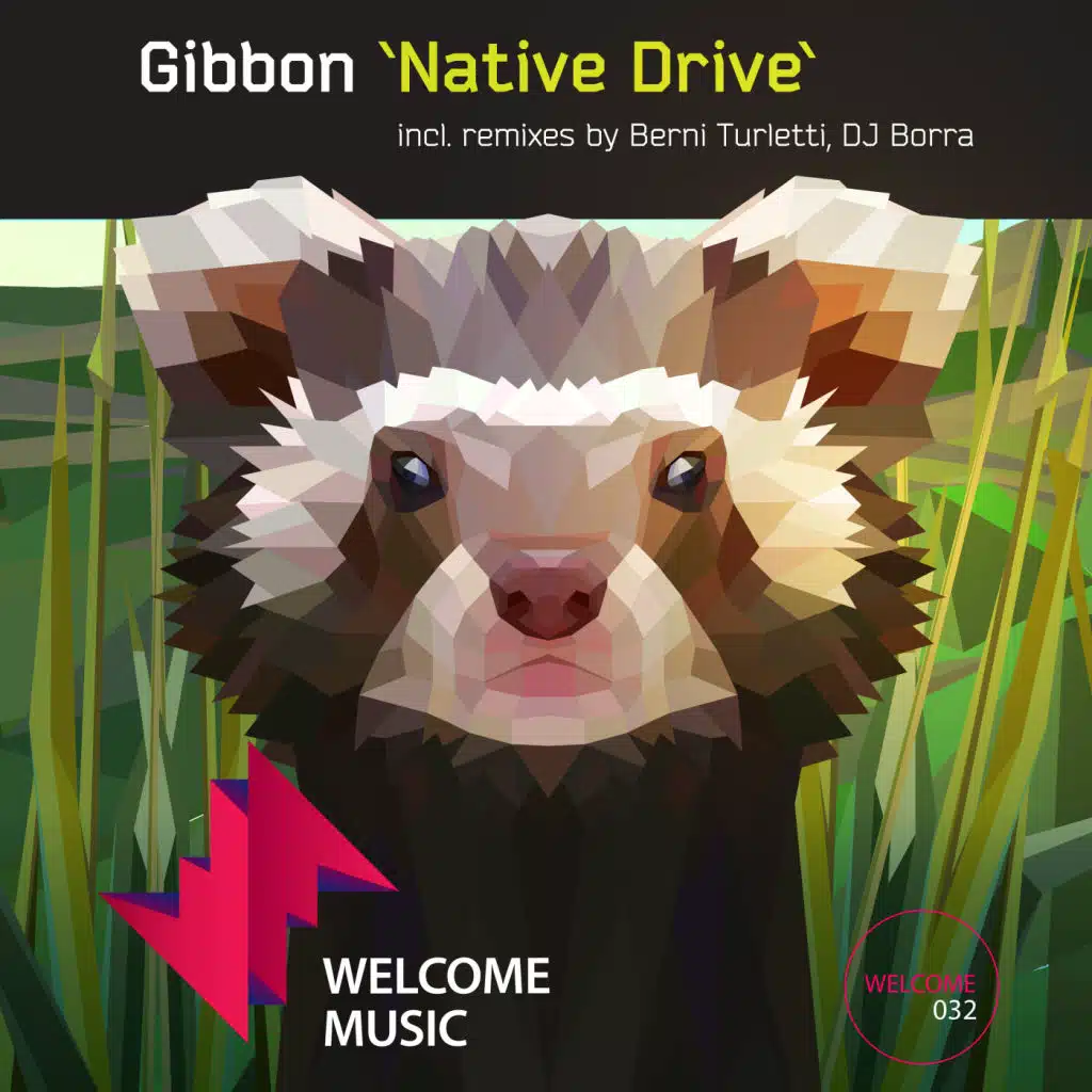 Native Drive (feat. Berni Turletti & DJ Borra)