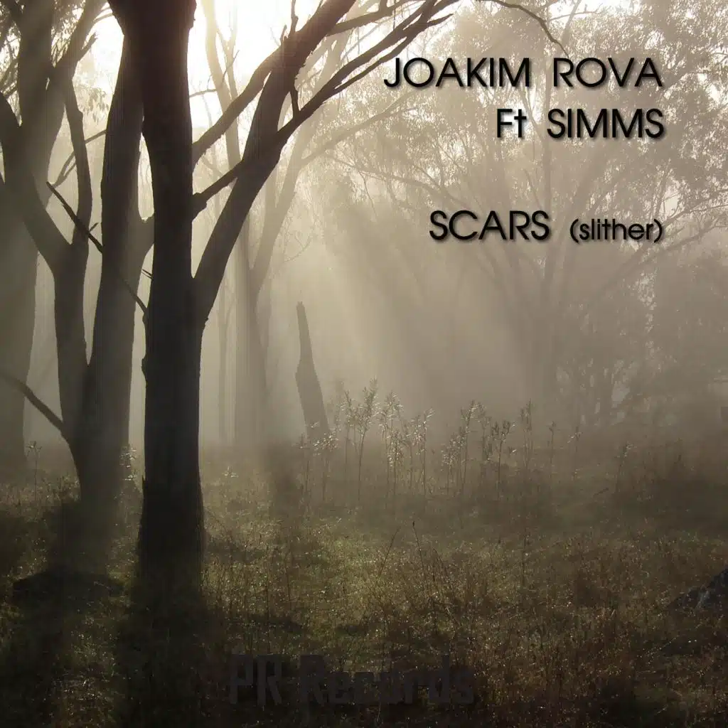 Scars(Slither)