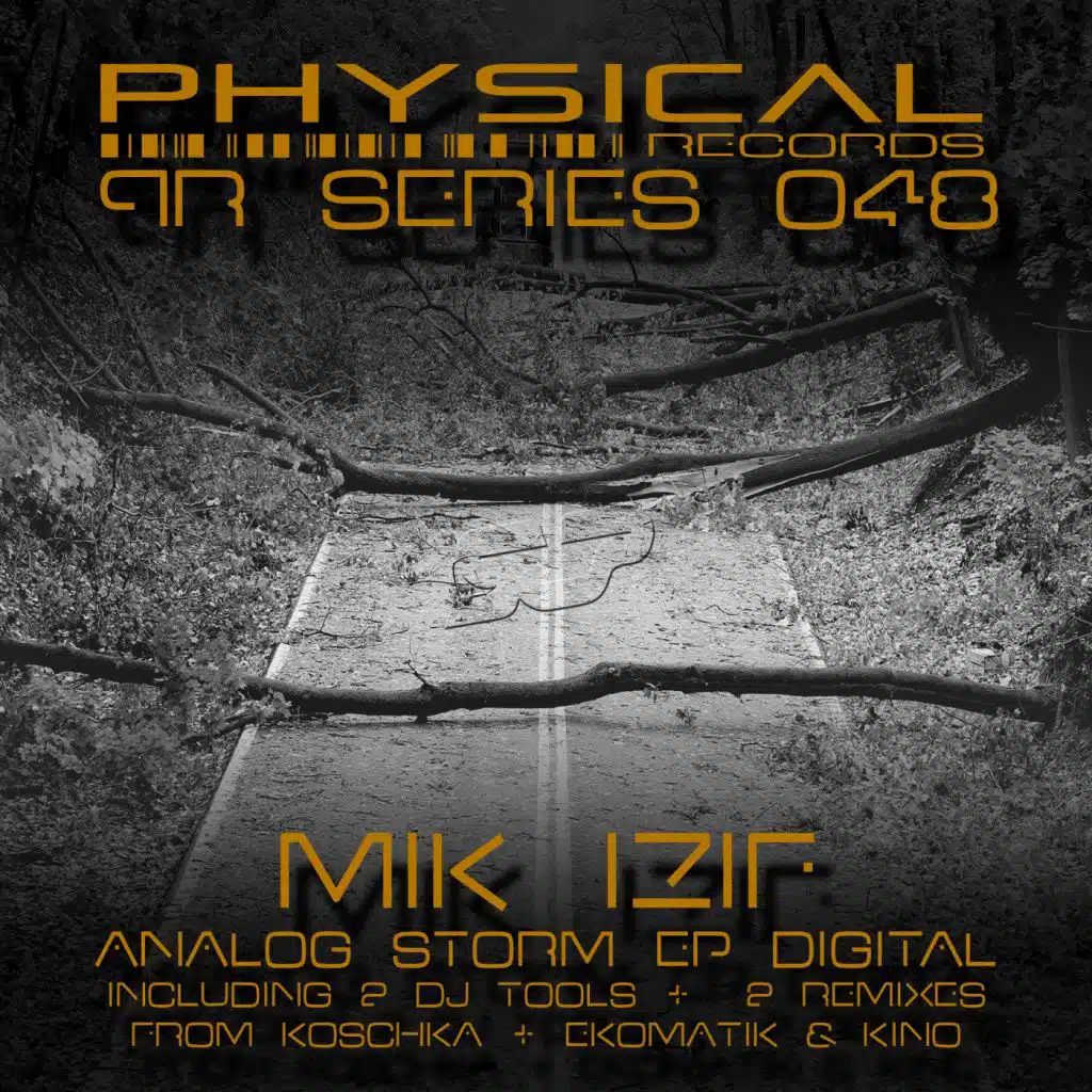 Analog Storm EP Digital