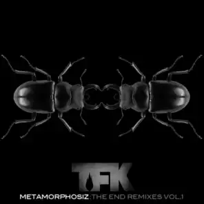 Metamorphosiz: The End [Remixes, Vol. 1]