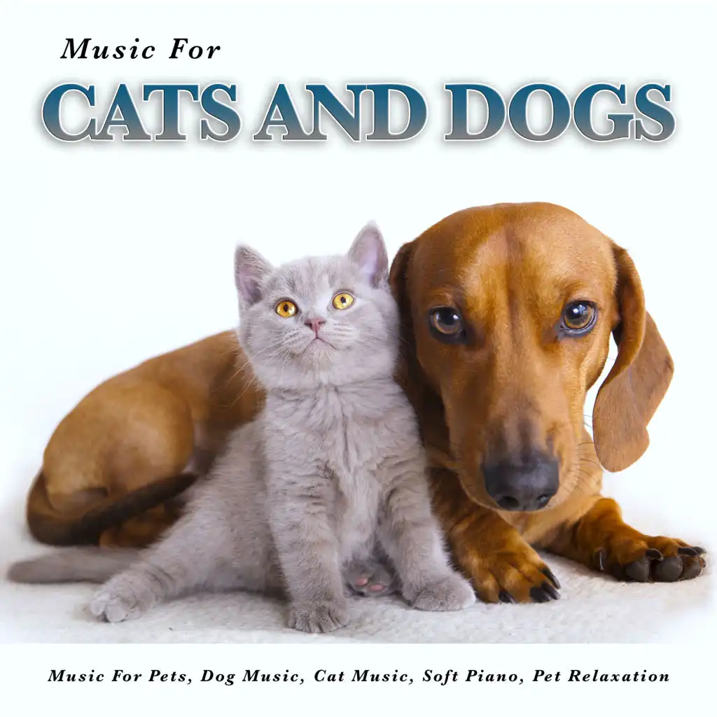 Peaceful Piano Music for Dogs and Cats