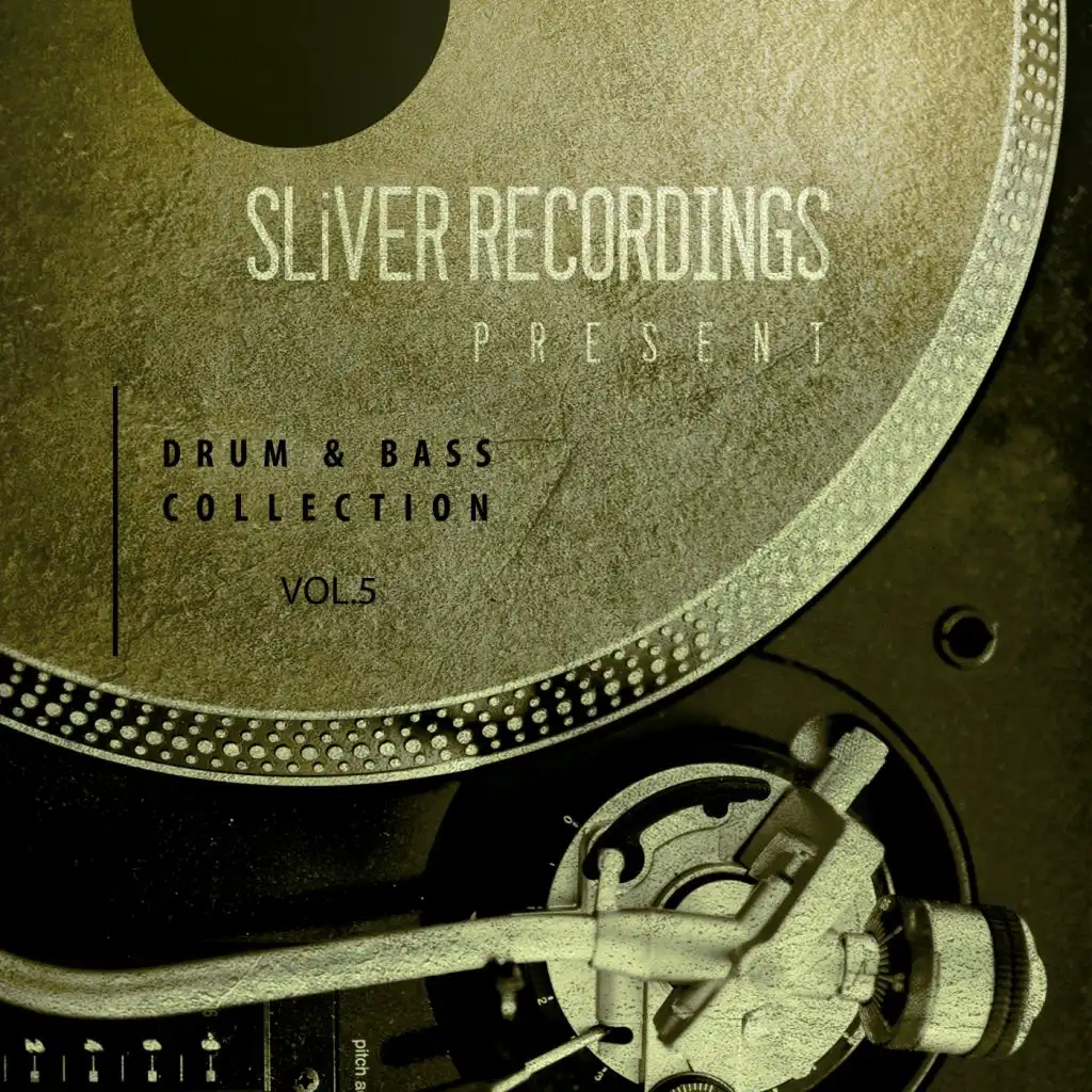SLIVER Recordings: Drum & Bass Collection, Vol. 5