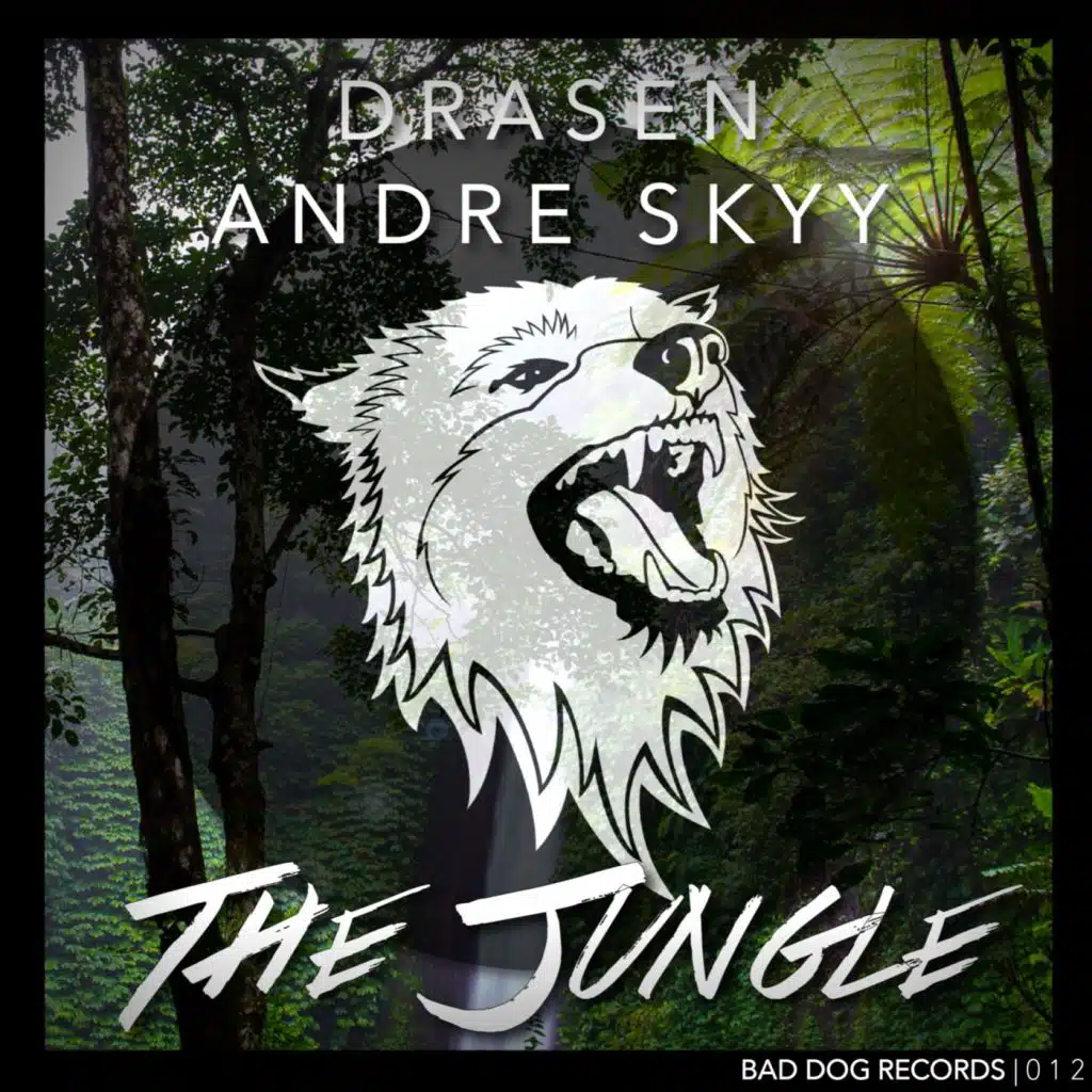 Drasen & Andre Skyy