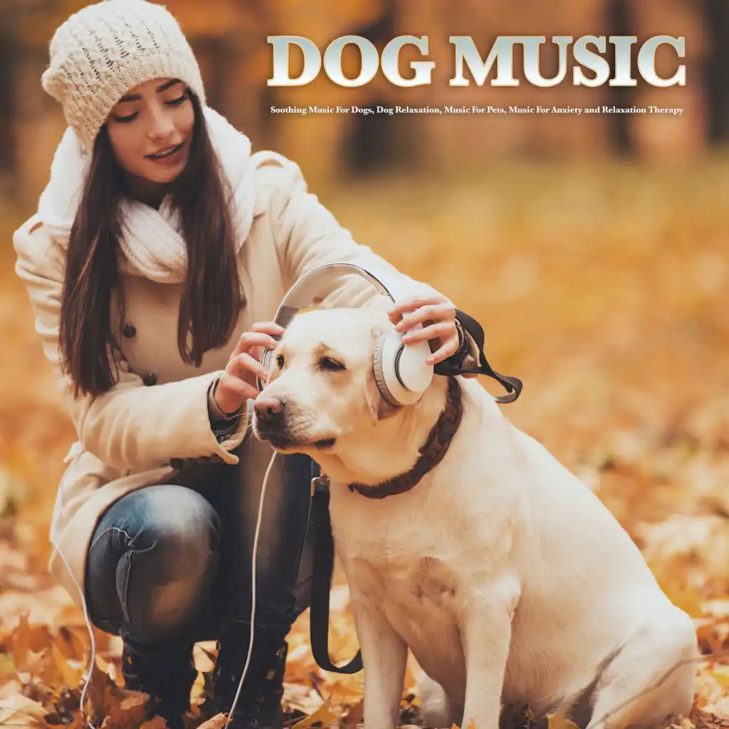 Dog Music, Sleeping Music For Dogs, Sleepy Dogs