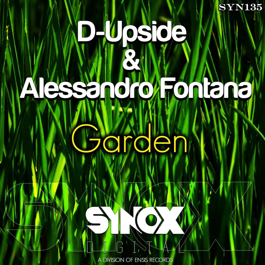 D-Upside & Alessandro Fontana