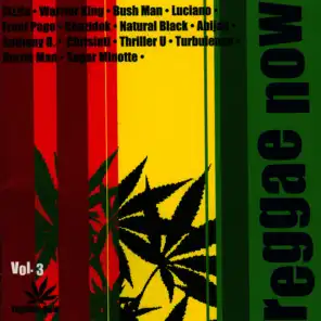 Reggae Now Vol. 3