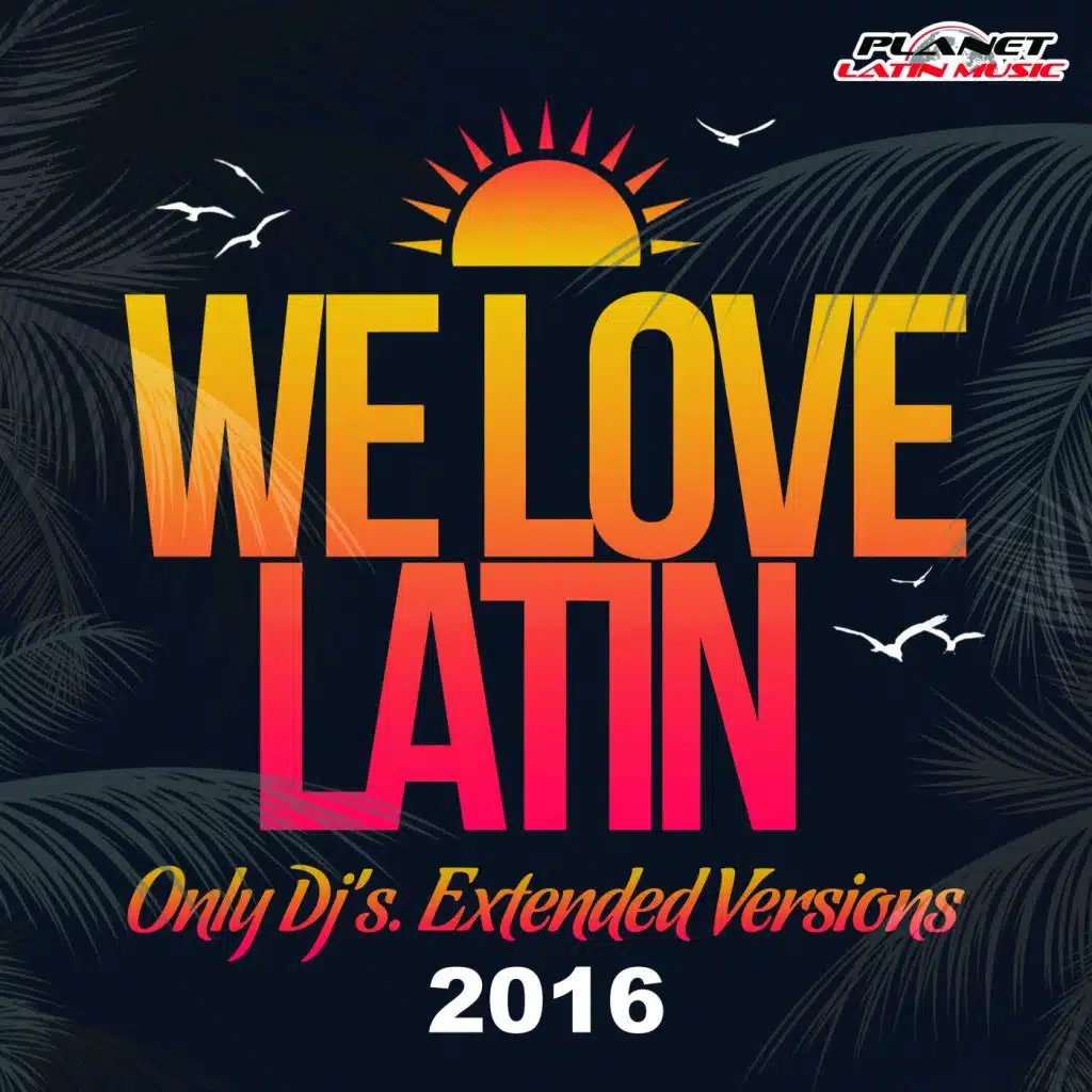 Llego El Verano (Extended Mix)