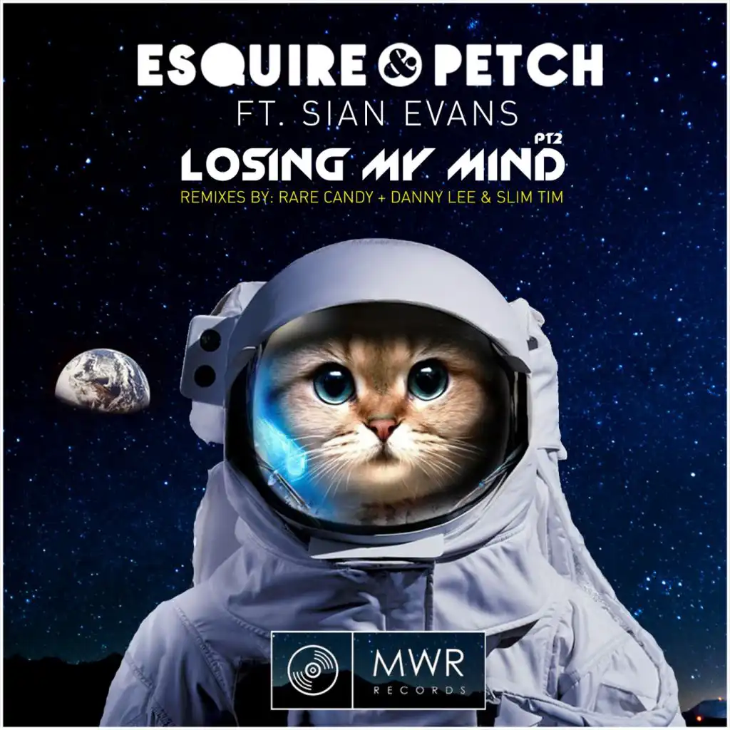 Losing My Mind: Remixes (feat. Sian Evans)