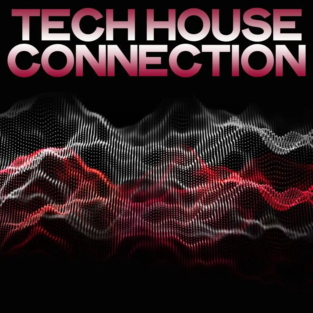 Tech House Connection