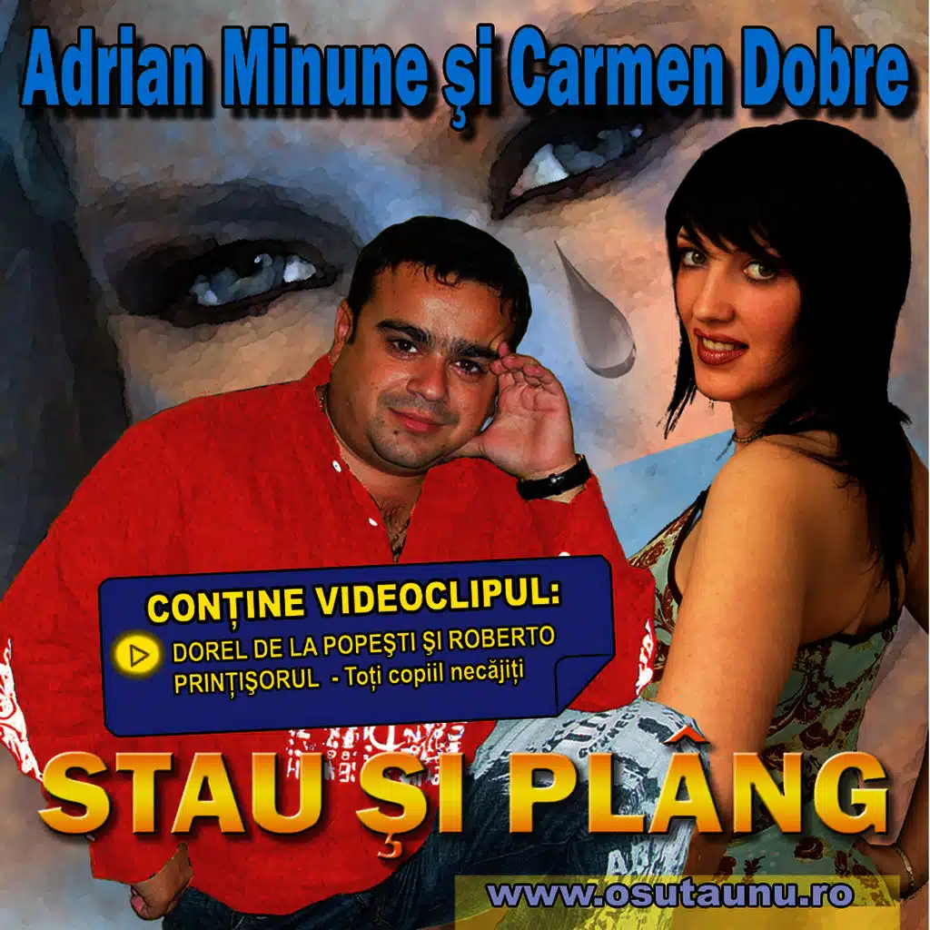 Petrica Cercel, Florin Cercel