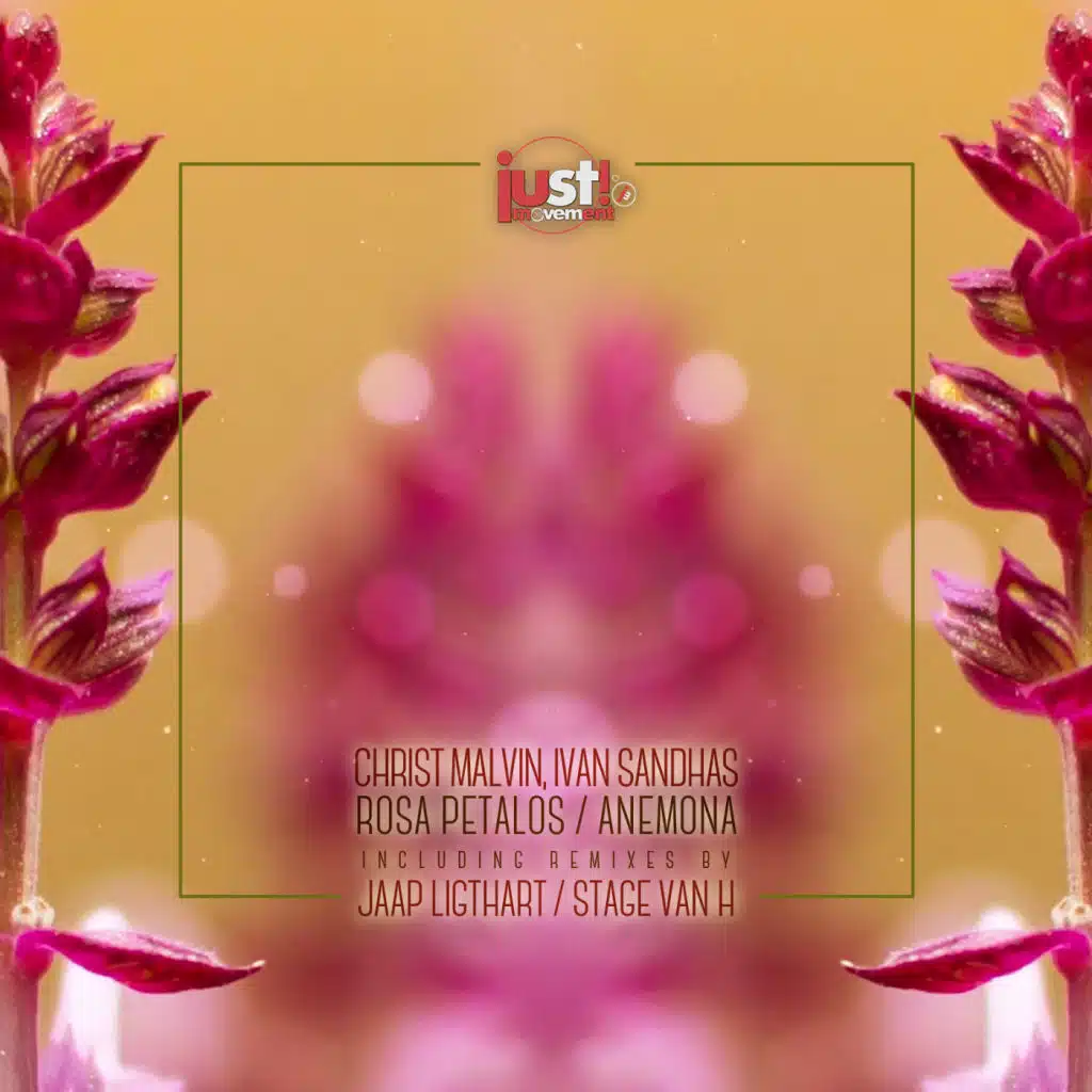 Rosa Petalos (feat. Jaap Ligthart)
