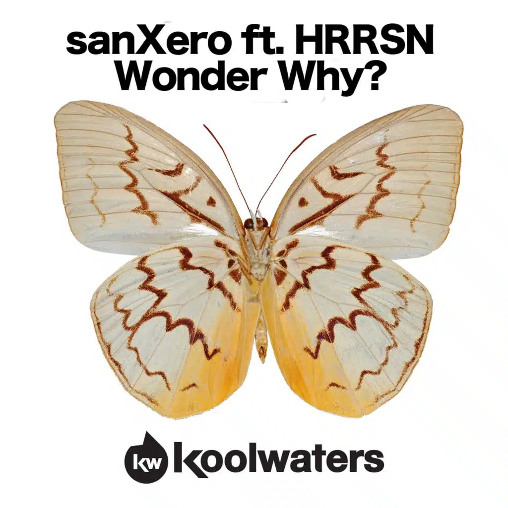 Wonder Why? (Marc Vedo Remix) [feat. HRRSN]